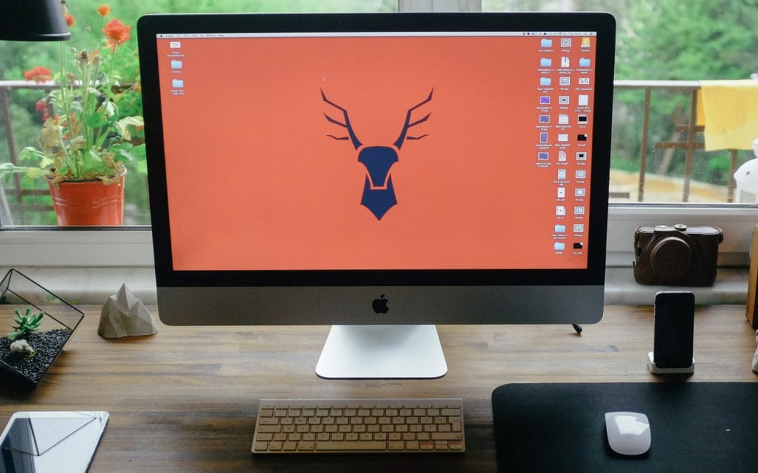 Phasellus mollis eros at rhoncus dignissim